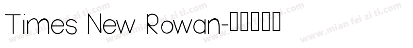 Times New Rowan字体转换